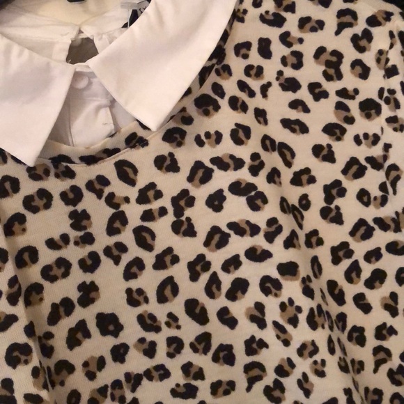 Leopard top - Picture 2 of 2